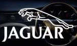 Image of jaguar.gif